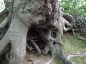 094.jpg - 2009:05:19 14:10:52