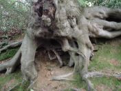 095.jpg - 2009:05:19 14:10:59