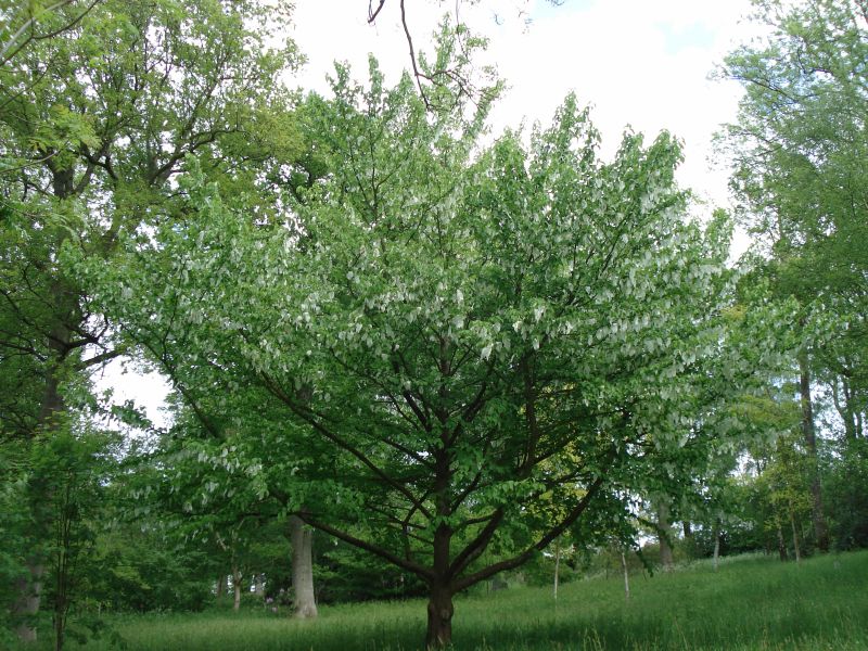 Viewing photos→2009→2009-05-19→096