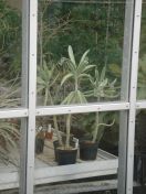 105.jpg - 2009:05:19 14:30:19