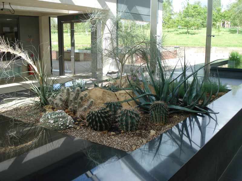 Viewing photos→2009→2009-05-19→107