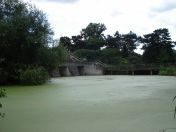 04.jpg - 2009:07:17 12:20:32