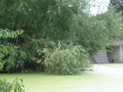 05.jpg - 2009:07:17 12:20:40