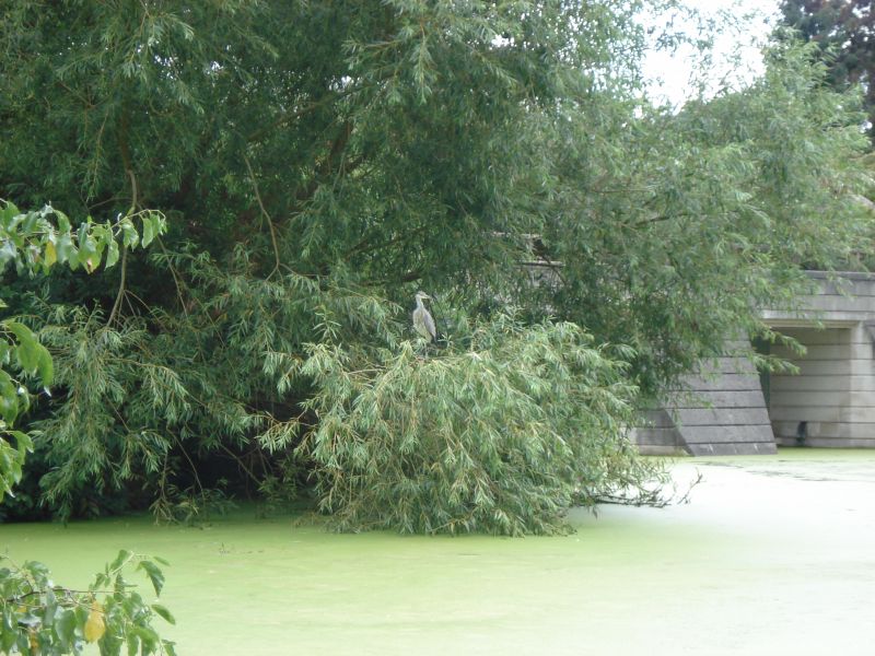 Viewing photos→2009→2009-07-17→05