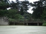 06.jpg - 2009:07:17 12:20:46