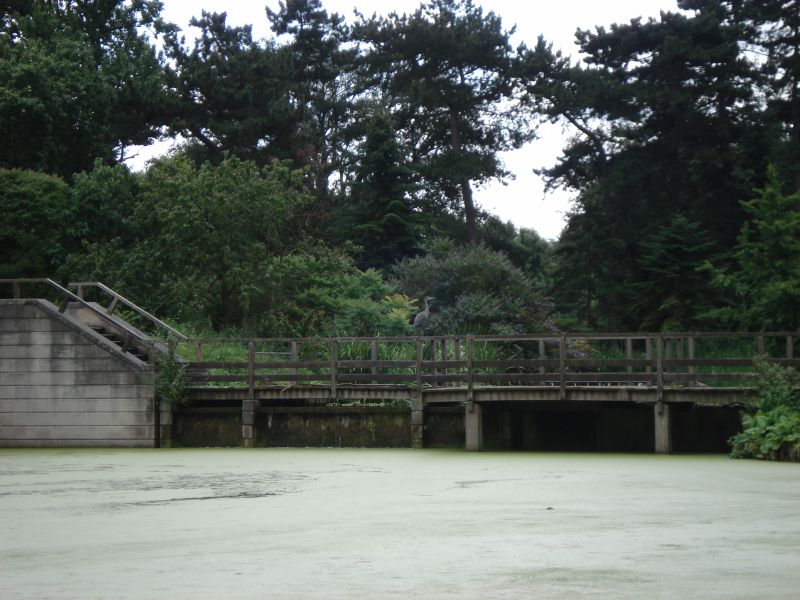 Viewing photos→2009→2009-07-17→06