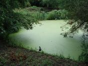 07.jpg - 2009:07:17 12:21:11