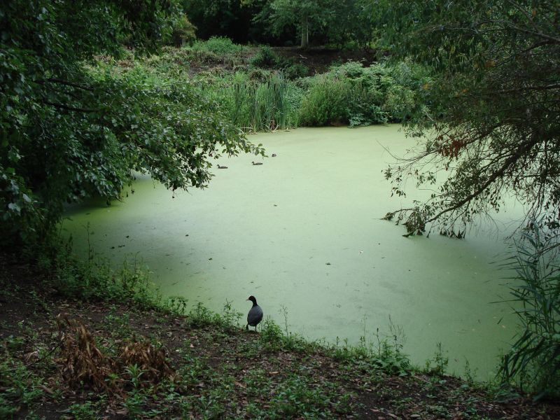 Viewing photos→2009→2009-07-17→07