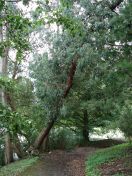 08.jpg - 2009:07:17 12:21:33