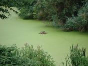 09.jpg - 2009:07:17 12:22:25