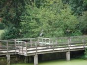 11.jpg - 2009:07:17 12:26:15