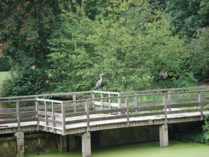 Viewing photos→2009→2009-07-17→11