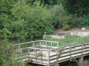 12.jpg - 2009:07:17 12:27:30