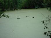 14.jpg - 2009:07:17 12:30:38