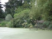 15.jpg - 2009:07:17 12:31:13