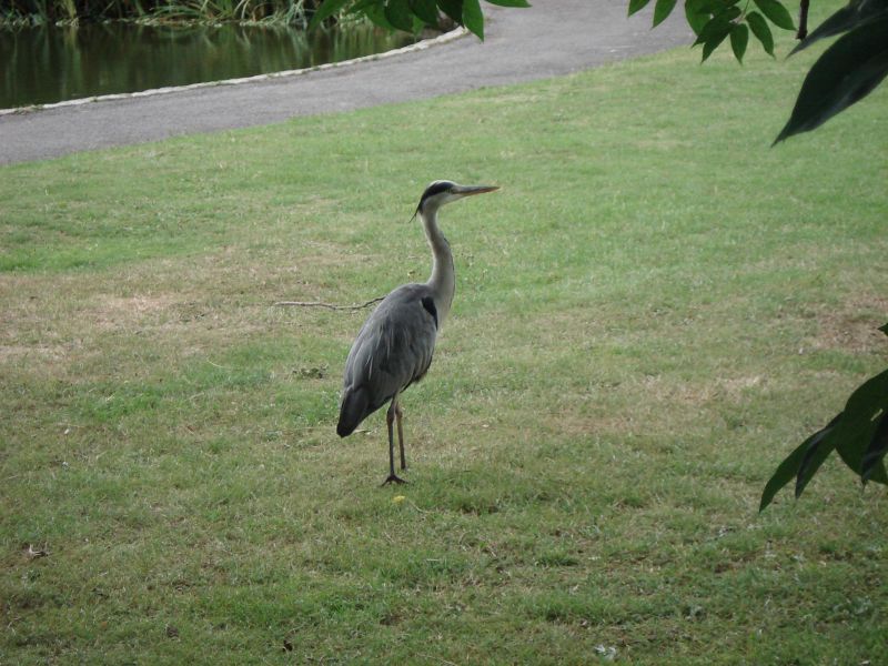 Viewing photos→2009→2009-07-17→16