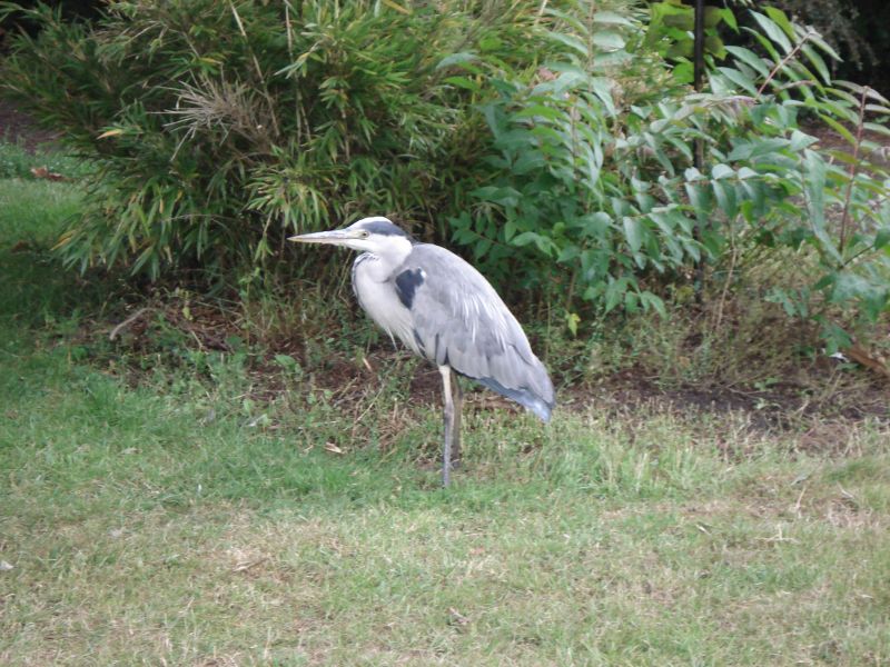 Viewing photos→2009→2009-07-17→19