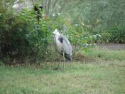 20.jpg - 2009:07:17 12:33:58