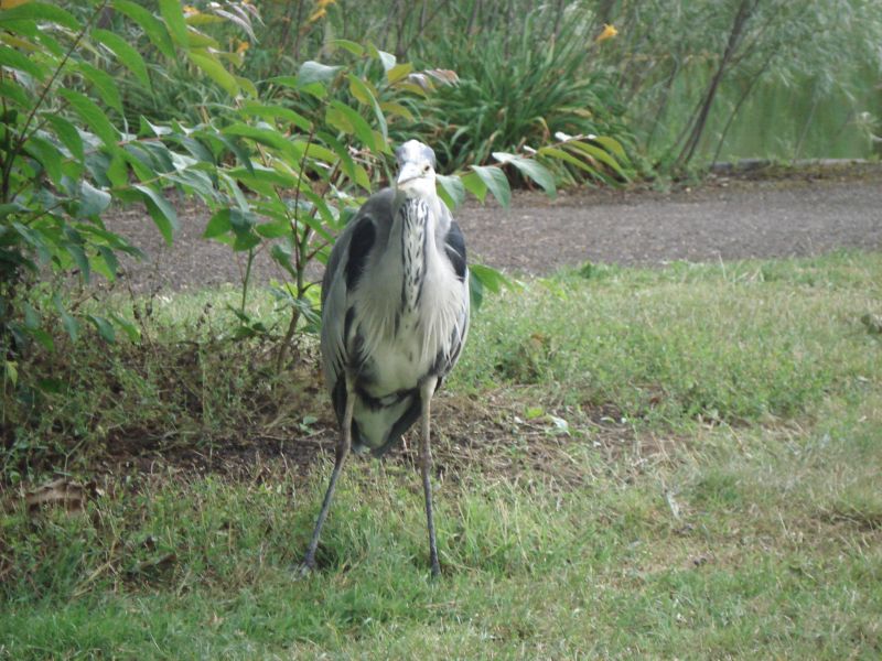 Viewing photos→2009→2009-07-17→21