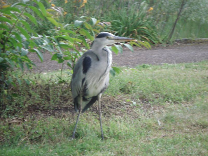 Viewing photos→2009→2009-07-17→22