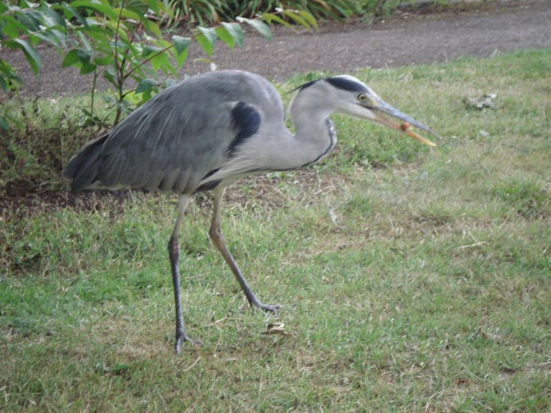 Viewing photos→2009→2009-07-17→23