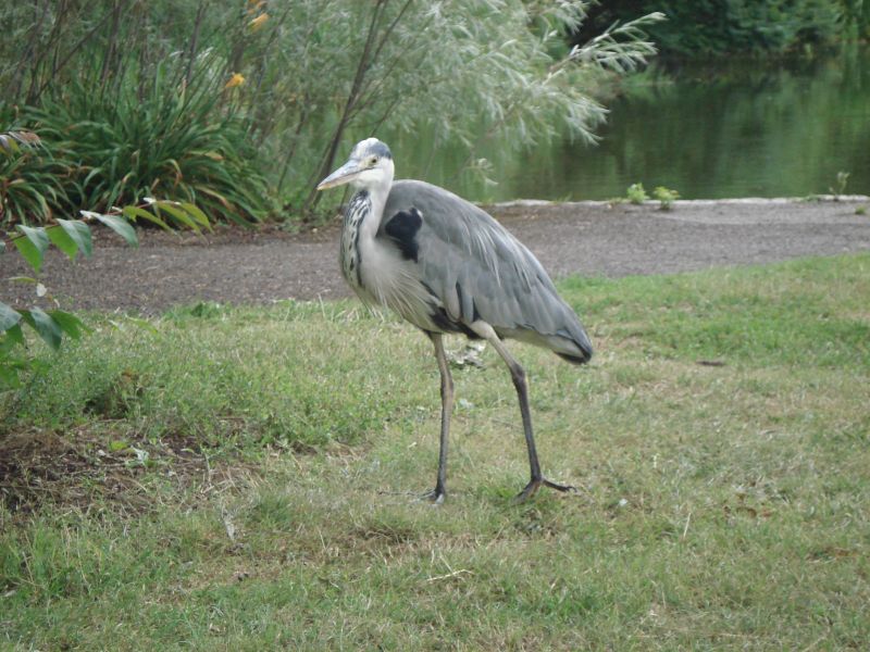 Viewing photos→2009→2009-07-17→24