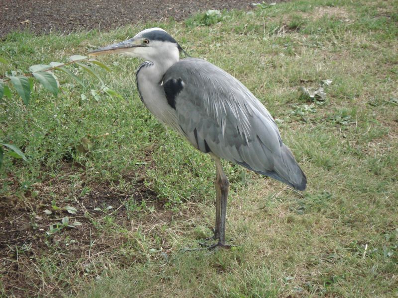 Viewing photos→2009→2009-07-17→25