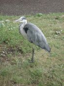 26.jpg - 2009:07:17 12:35:14