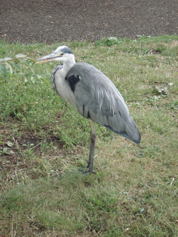 Viewing photos→2009→2009-07-17→26