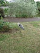 27.jpg - 2009:07:17 12:35:20