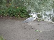 28.jpg - 2009:07:17 12:36:59