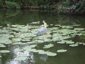 32.jpg - 2009:07:17 12:37:43