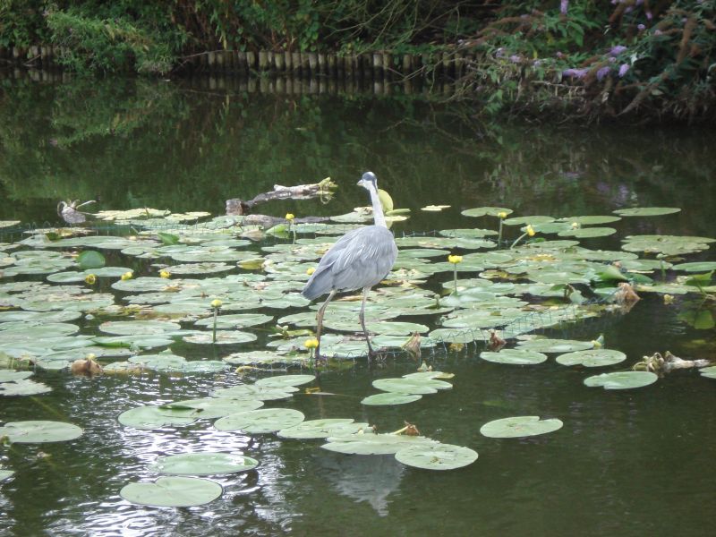 Viewing photos→2009→2009-07-17→32