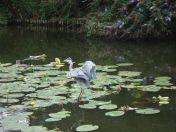 33.jpg - 2009:07:17 12:38:01