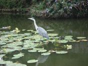 34.jpg - 2009:07:17 12:38:34