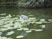 36.jpg - 2009:07:17 12:39:25