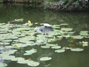 37.jpg - 2009:07:17 12:39:29