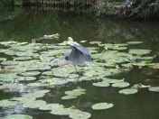 38.jpg - 2009:07:17 12:39:36