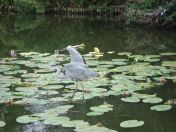 39.jpg - 2009:07:17 12:39:40