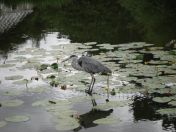 40.jpg - 2009:07:17 12:40:39