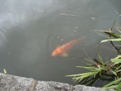 47.jpg - 2009:07:17 12:47:47