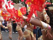 064.jpg - 2009:08:31 12:26:13