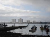 07.jpg - 2009:10:28 12:17:48