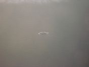 004.jpg - 2009:11:21 14:16:50