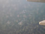 006.jpg - 2009:11:21 14:17:26