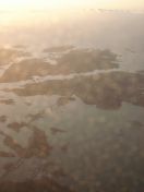 010.jpg - 2009:11:21 14:18:41