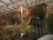 035.jpg - 2009:11:22 13:39:34