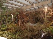 036.jpg - 2009:11:22 13:39:41