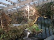 037.jpg - 2009:11:22 13:39:48