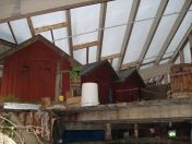 038.jpg - 2009:11:22 13:55:40